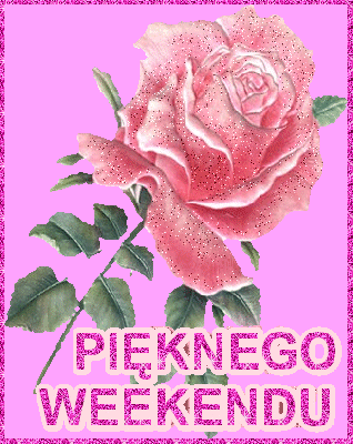 Pięknego weekendu róża